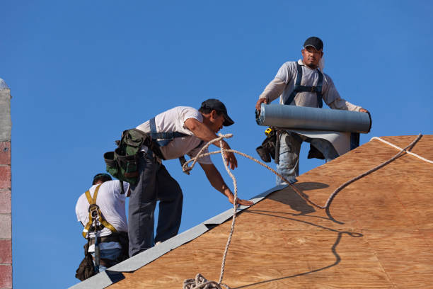 Best Metal Roofing Contractor  in Cascade Valley, WA